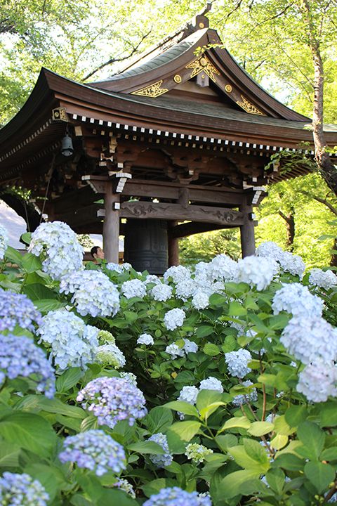 「妙楽寺」(神奈川県川崎市)