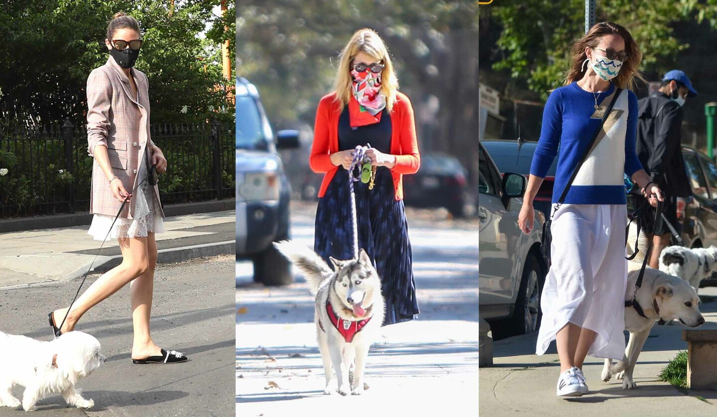 おしゃれなマスクをして愛犬の散歩をしたいたオリビア・パレルモ、ローラ・ダーン、オリビア・ワイルド